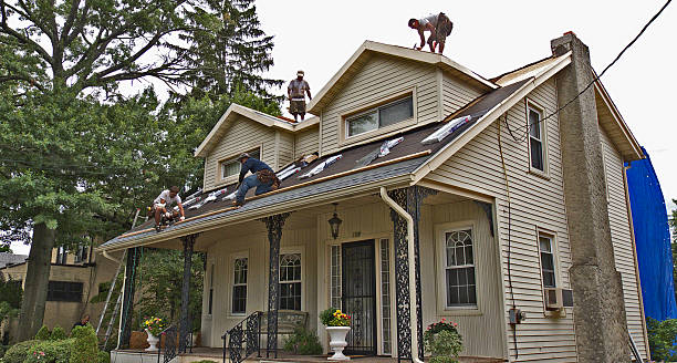 Best Roof Repair Services  in Cypress Landing, NC